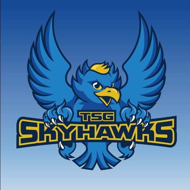 天鷹展翅！台鋼天鷹隊徽揭曉 傳遞堅定信念與制空優勢